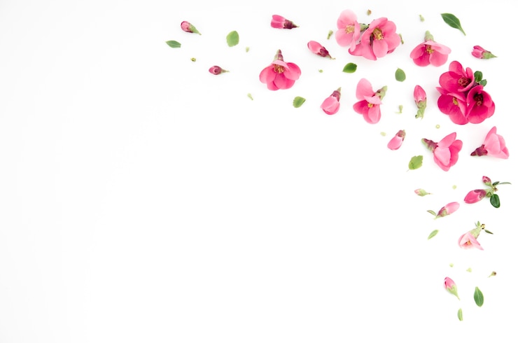 Gratis Foto bloemen ornamenten