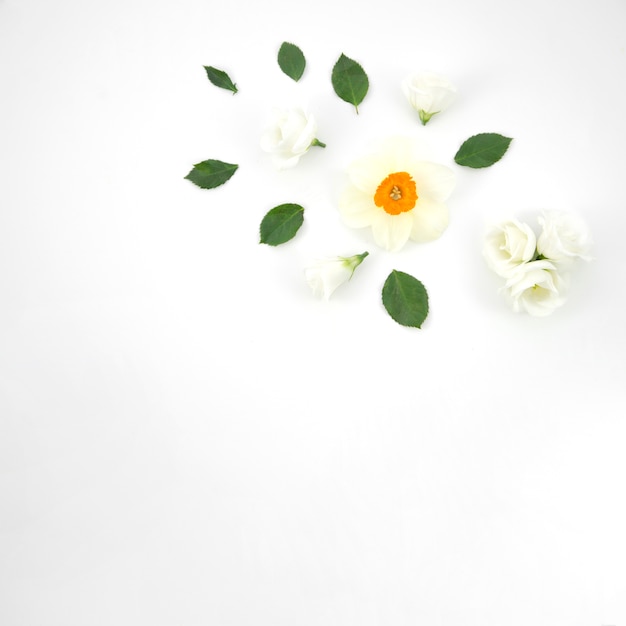 Gratis foto bloemen ornamenten