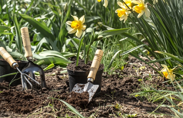 Bloemen planten in de tuin, tuingereedschap, bloemen