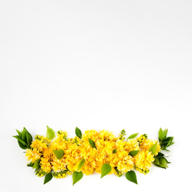 Gratis foto bloemen slinger