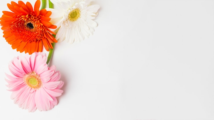 Gratis Foto bloemen