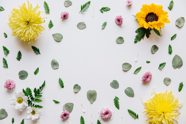 Bloemenachtergrond met verschillende bloemen