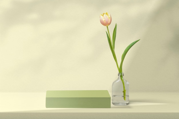 Bloemenproductdecor met tulp in groen