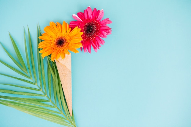 Gratis foto bloemenregeling op blauwe achtergrond