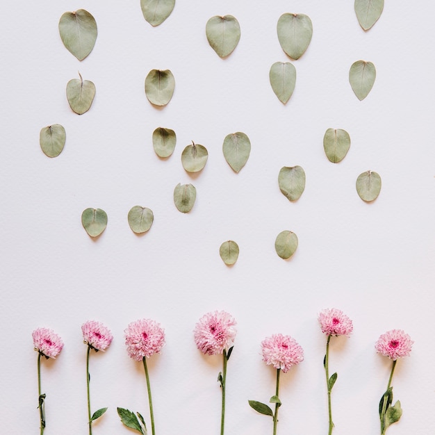 Gratis foto bloemensamenstelling met bladeren