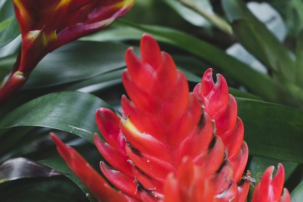 Bloemensamenstelling met elegante stijl