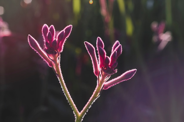 Bloemensamenstelling met elegante stijl