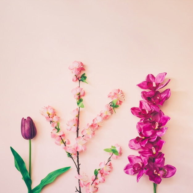 Bloemensamenstelling op roze achtergrond