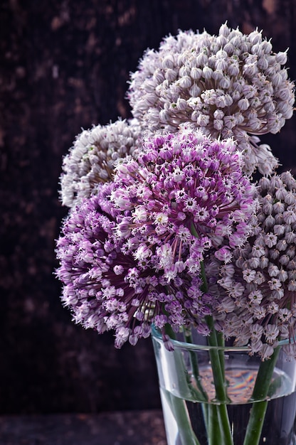 Bloemenui op oud hout