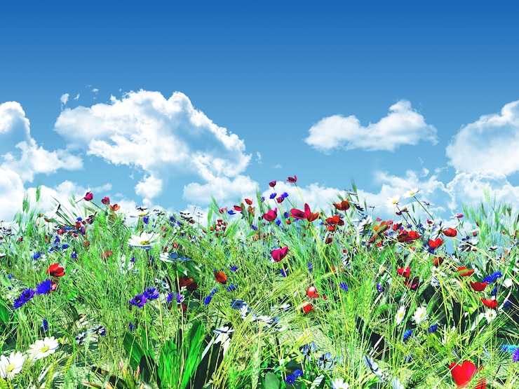 Gratis Foto bloemrijke landschap met een blauwe hemel
