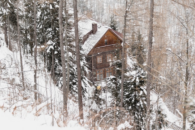 Gratis foto blokhuis in de winterbos