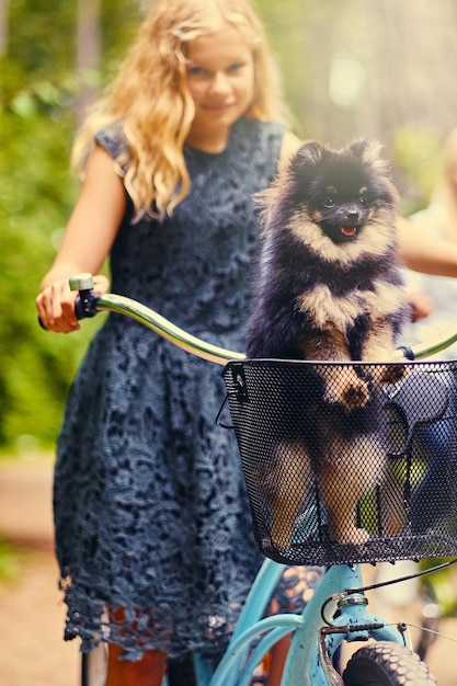 Gratis foto blond meisje op een fiets en een spitz-hond in een mand.