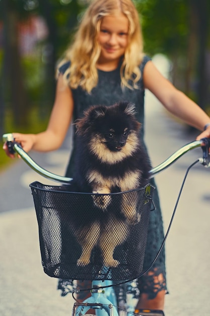 Blond meisje op een fiets en een spitz-hond in een mand.