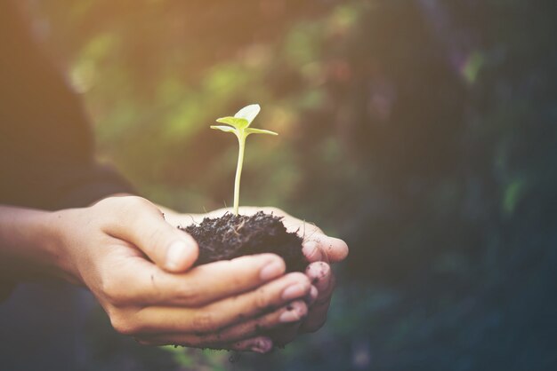 Bodem groene landbouw kleine achtergrond