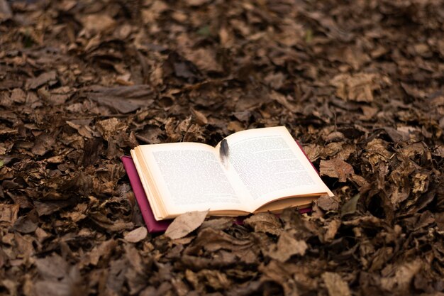 Boeken en fantasie stilleven