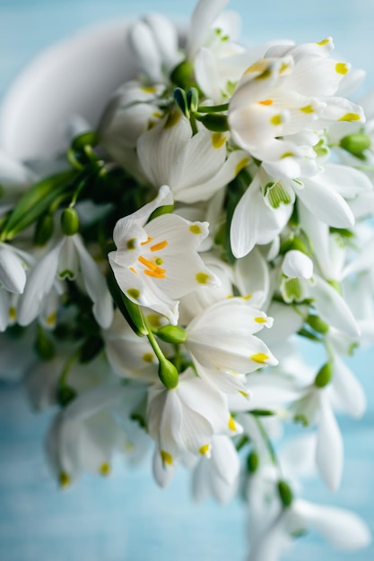 Gratis foto boeket sneeuwklokjes op een onscherpe achtergrond