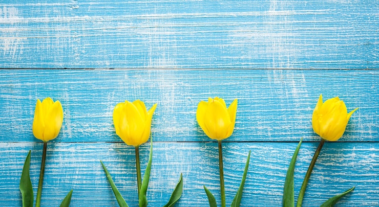 Gratis Foto boeket van gele tulpen op een blauwe houten bovenaanzicht als achtergrond