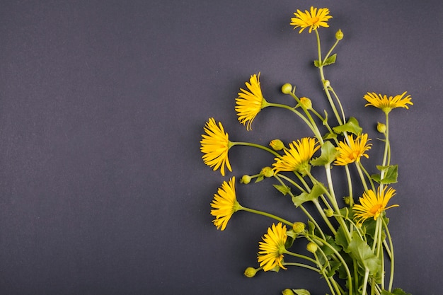 Gratis foto boeket van madeliefjebloemen