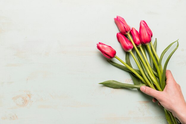 Boeket van tulpen in de hand