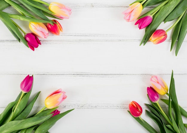 Gratis foto boeketten van tulpen langs randen