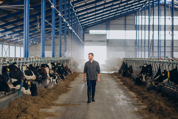 Gratis foto boer bij de stal zorgt voor de koeien