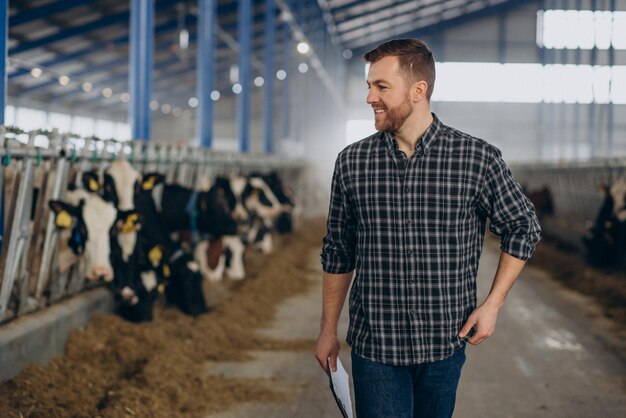 Boer bij de stal zorgt voor de koeien