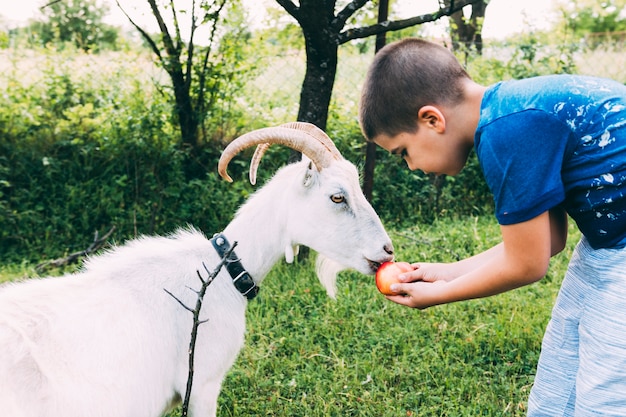 Boerderij concept met jongen voederen geit