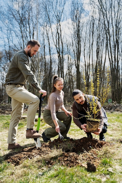 Bomen planten als onderdeel van het herbebossingsproces