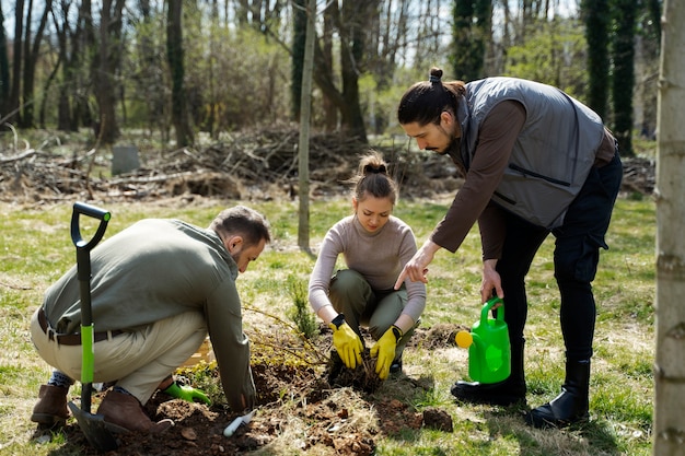 Bomen planten als onderdeel van het herbebossingsproces