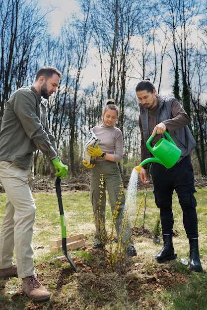 Bomen planten als onderdeel van het herbebossingsproces