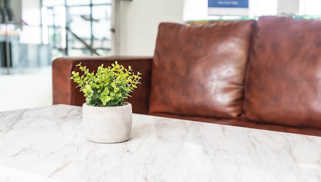 Boom in pot decoratie op de tafel in de woonkamer