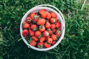 Gratis foto boomgaardconcept met aardbeien in emmer