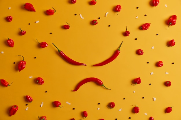 Boos menselijk gezicht gemaakt van rode chili peper, andere paprika's gerangschikt op gele achtergrond. Pittige groente die een branderig gevoel kan veroorzaken en gezondheidsproblemen kan veroorzaken, heeft een eigen specifieke smaak