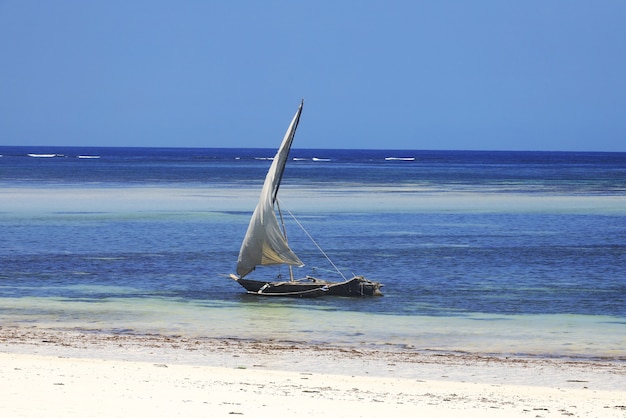 Gratis foto boot varen op het water in diani beach in kenia