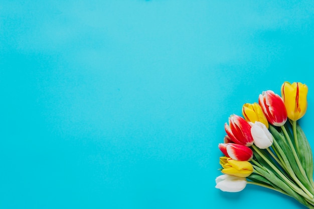 Gratis foto bos van tulpen op blauwe achtergrond