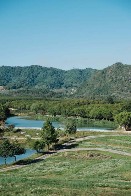 bospark, rivier en blauwe lucht