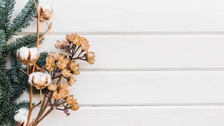 Gratis Foto botanische achtergrond met ruimte op rechts
