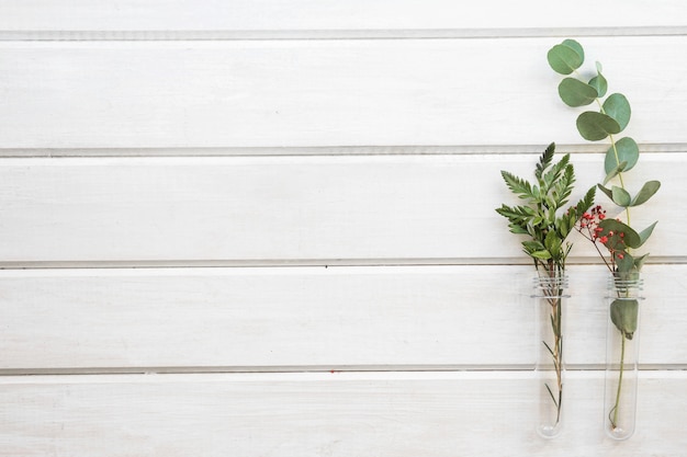 Botanische achtergrond op houten textuur