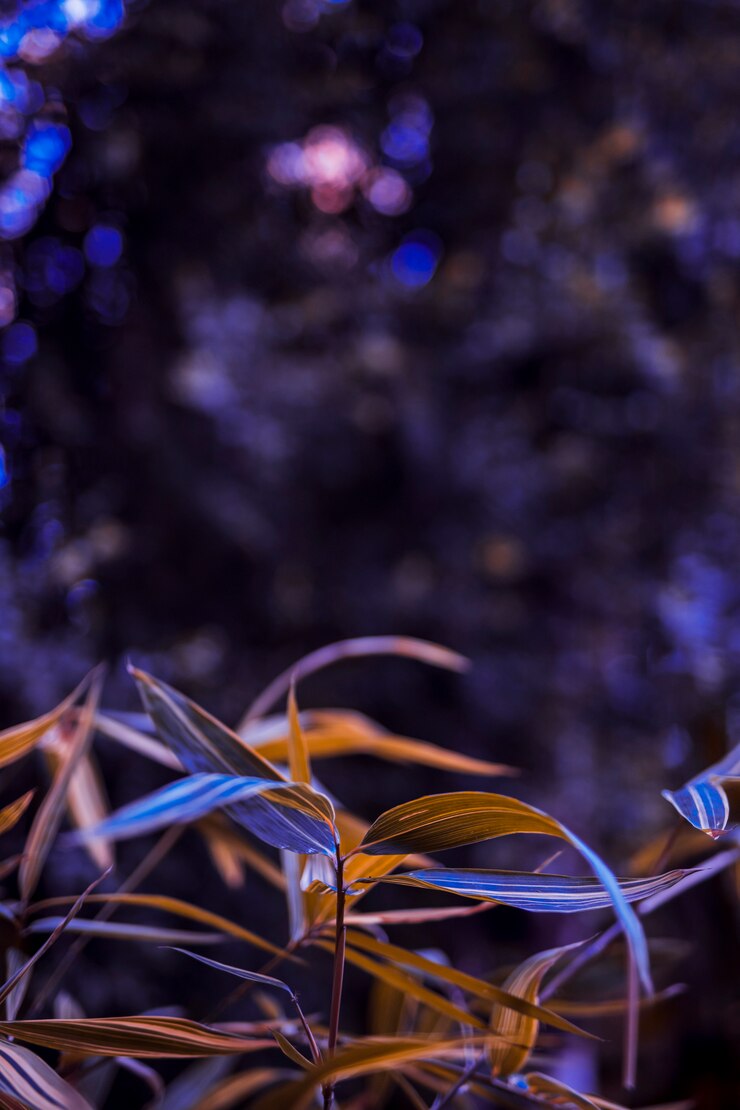 Gratis Foto botanische bladeren