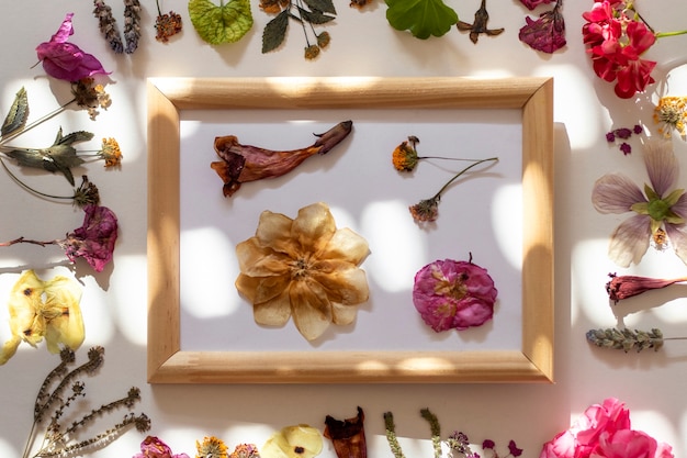 Gratis foto boven weergave bloemenperstechniek stilleven