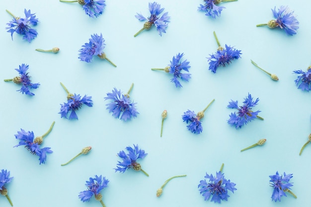 Bovenaanzicht arrangement van korenbloemen