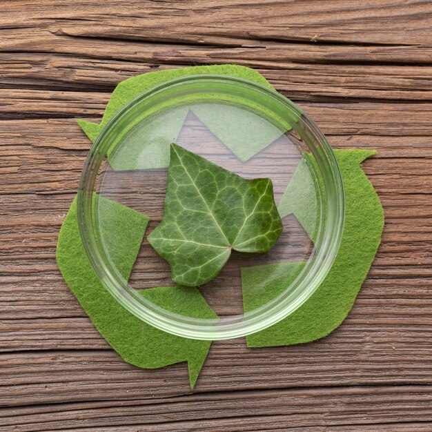 Bovenaanzicht blad in petrischaal