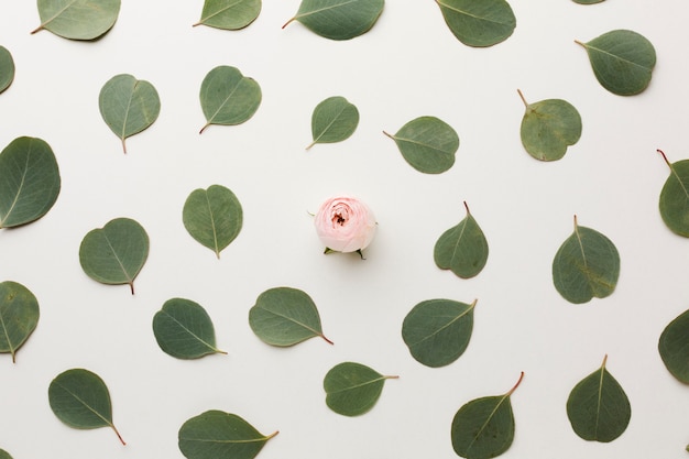 Bovenaanzicht bladeren en rozen arrangement