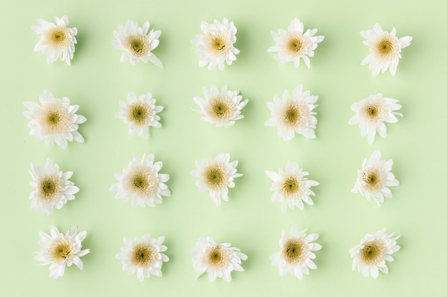 Bovenaanzicht bloeiende bloemen