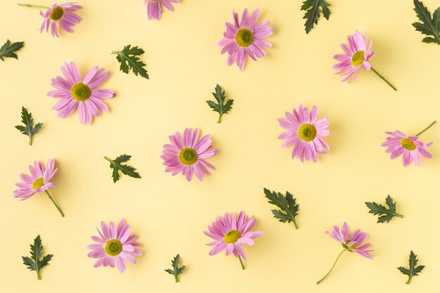 Bovenaanzicht bloeiende bloemen