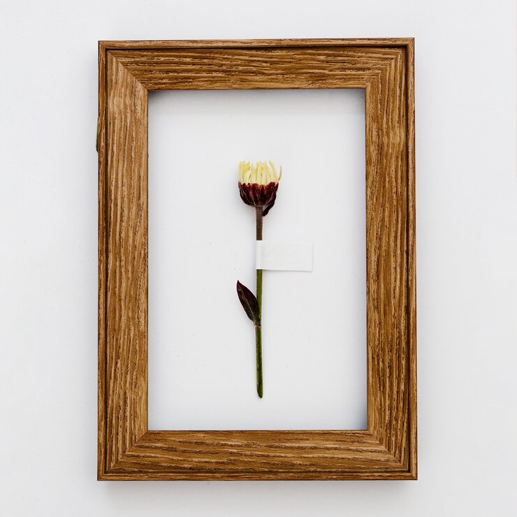 Gratis Foto bovenaanzicht bloem binnen frame