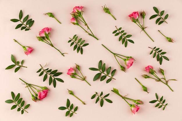 Gratis foto bovenaanzicht bloemen collectie op tafel