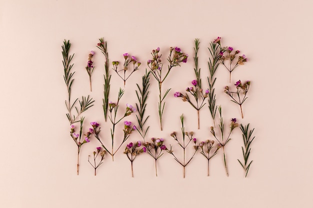 Bovenaanzicht bloemen collectie op tafel