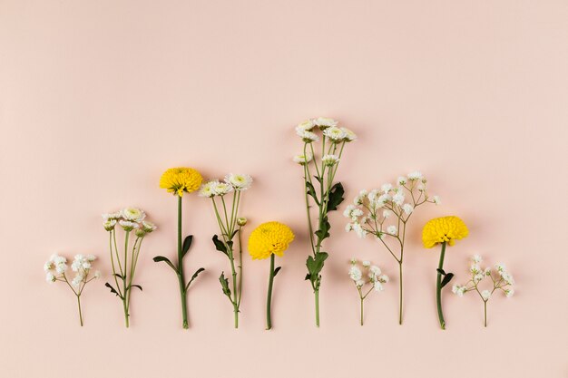 Bovenaanzicht bloemen collectie op tafel