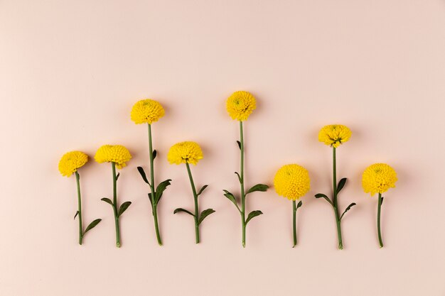 Bovenaanzicht bloemen collectie op tafel